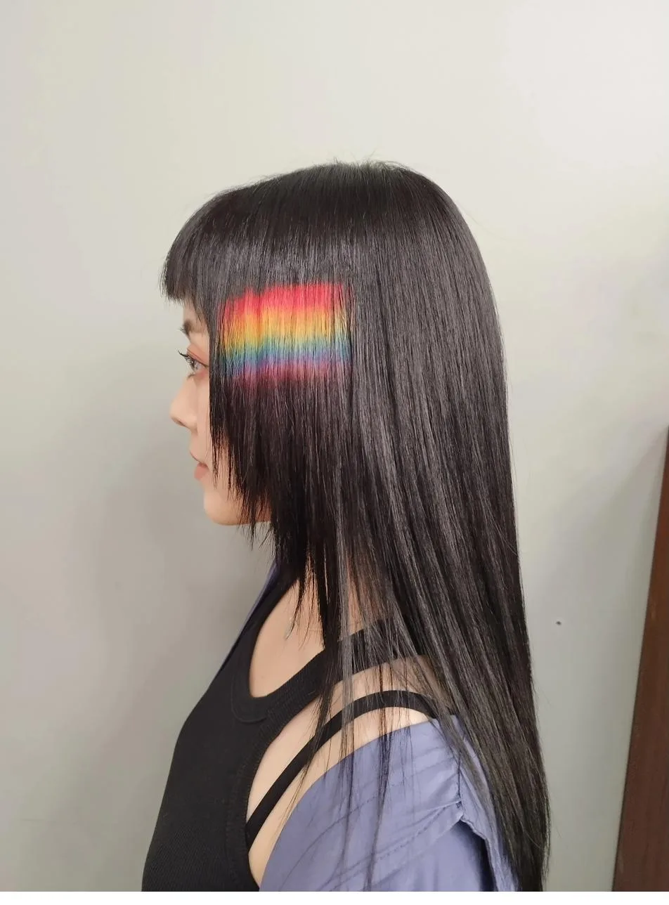 Placement rainbow horizontal sur cheveux noirs Paris
